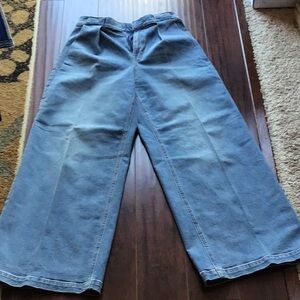 Express Relaxed WideLeg Trousers Jeans